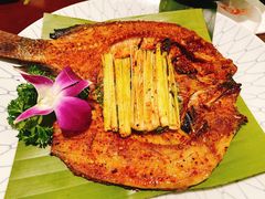 -紫滇源云南生态菜(丹凤街店)