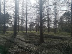 -宝岩生态观光园