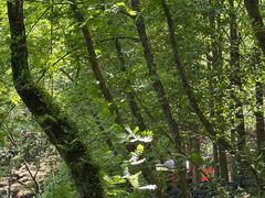 -白马涧龙池景区