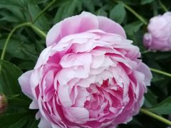 -长春公园(普阳街道)