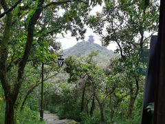 -杭州半山国家森林公园