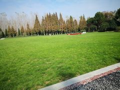 -合肥滨湖国家森林公园