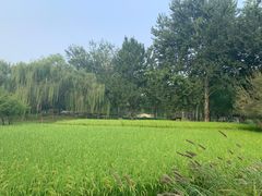 -北坞公园