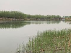 -马家湾湿地公园