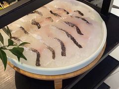 -辣伍鲜毛肚老火锅(元一店)