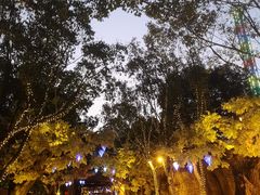 -横店影视城梦幻谷园区