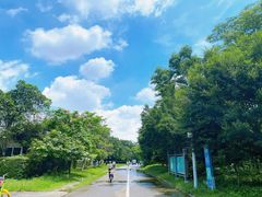 -番禺大夫山森林公园