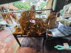 -园林美食城·本土农家菜(杨和镇店)