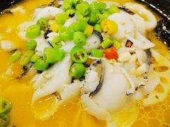 -今鲜源大酒店·中华餐饮名店(新湛路店)