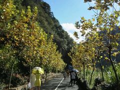 -磐安舞龙峡景区