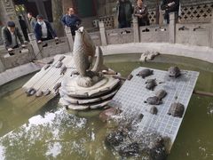 -西安大兴善寺