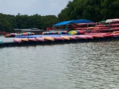 -上海海湾国家森林公园