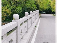 -同里国家湿地公园