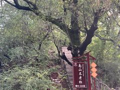 -终南山南五台景区