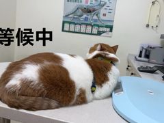 -美联众合24小时·皮肤科·外科·全科诊疗中心(华苑分院)