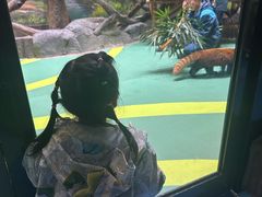 -海合安成都极地海洋公园