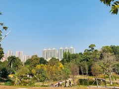 -中山市树木园