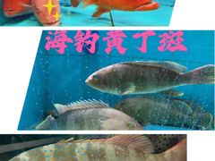 -欧记·龙城港(欣都店)