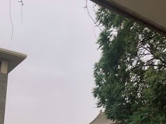 -北京大学百年讲堂