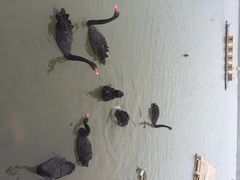 iphone_upload_pic-南京汤山紫清湖生态旅游温泉度假区