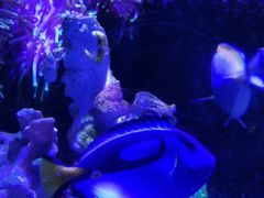 -太平洋海底世界