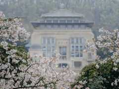 -武汉大学-樱园