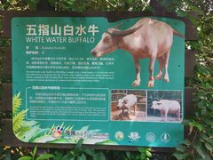 -海南热带野生动植物园