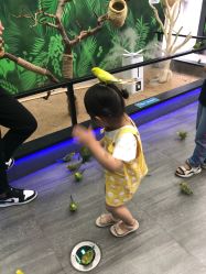 -未来动物城主题公园(正弘城店)