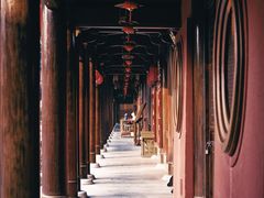 -广富林郊野公园