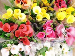 -龙大花卉苗木市场