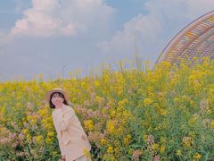 -中国天府农业博览园