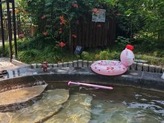 -扬州瘦西湖温泉