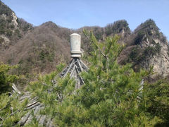 -王顺山国家森林公园