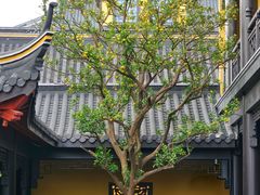 -上海青龙寺