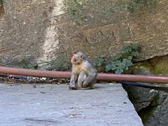 -北京上方山国家森林公园