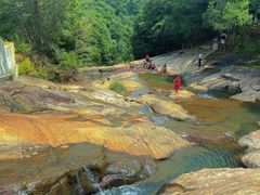 -广州白江湖森林公园