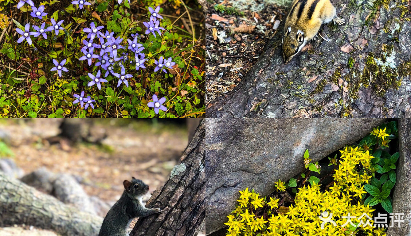 产后3个月高原徒步普达措～80块🎫不亏