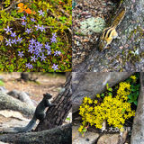 产后3个月高原徒步普达措～80块🎫不亏