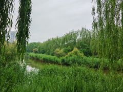 -南翠屏公园