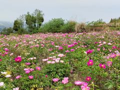 -金堂县云顶石城风景区