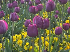 -杭州师范大学(下沙校区)