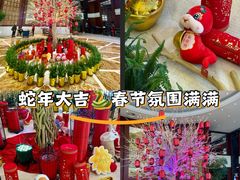-上海圣淘沙万怡酒店