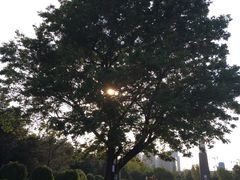 -侵华日军南京大屠杀遇难同胞纪念馆