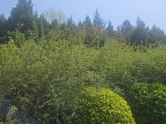 -南翠屏公园