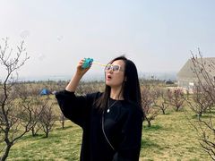 -都江堰石锅鱼