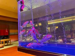 -大江户·温泉洗浴(浑南店)
