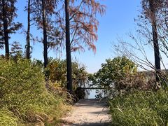 -东湖落雁景区