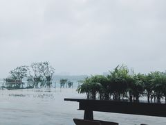 -星巴克(成都科学城店)