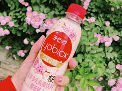 -全家便利店(法华寺街店)