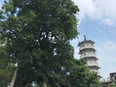 -国恩寺